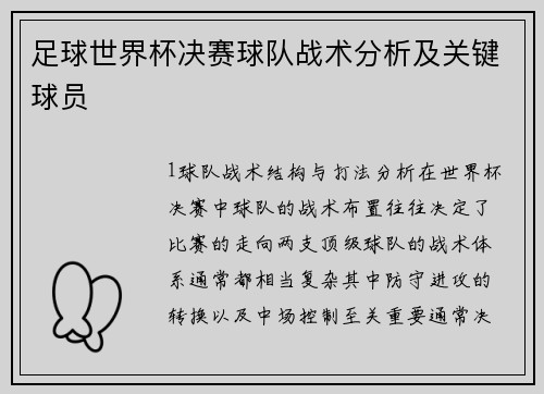 足球世界杯决赛球队战术分析及关键球员